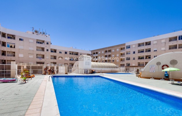 Wiederverkauf - Wohnung - Torrevieja - Center