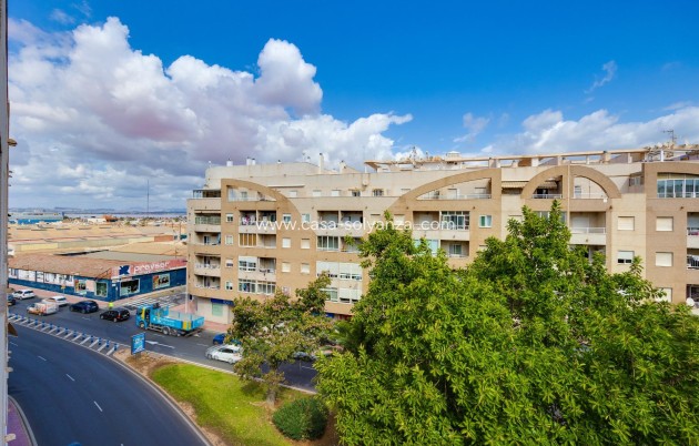Wiederverkauf - Wohnung - Torrevieja - Center