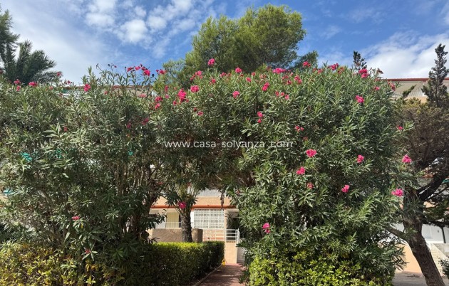Resale - Apartment / flat - Guardamar del Segura - Guardamar del Segura Centro