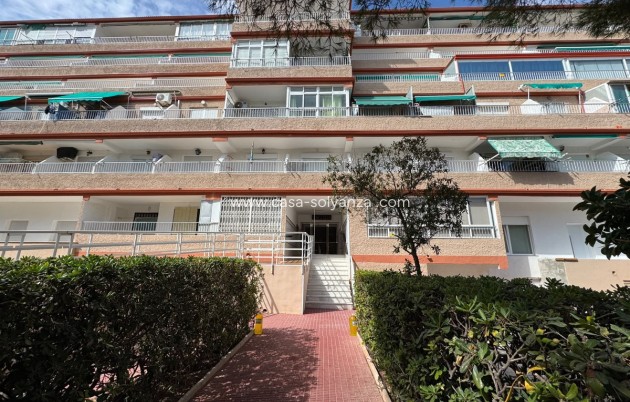 Resale - Apartment / flat - Guardamar del Segura - Guardamar del Segura Centro