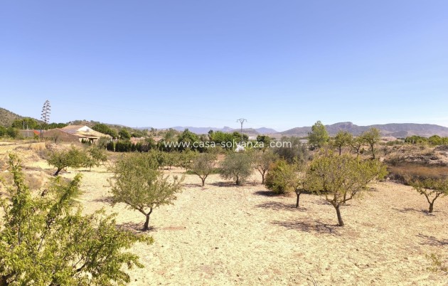Resale - Other - Chinorlet - Inland
