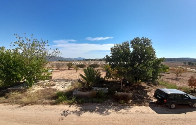 Resale - Country Property/Finca - Pinoso - Inland
