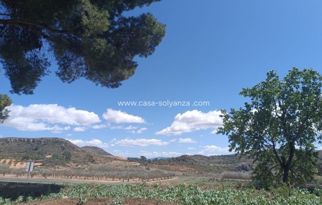 Resale - Country Property/Finca - Yecla - Inland