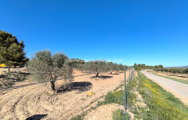 Wiederverkauf - Country Property/Finca - Yecla - Inland