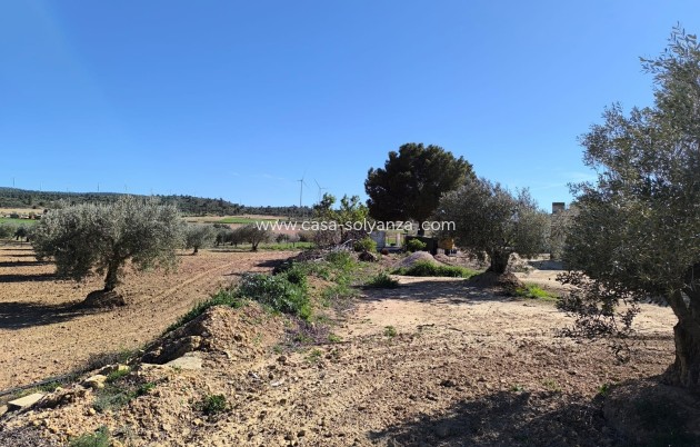 Wiederverkauf - Country Property/Finca - Yecla - Inland