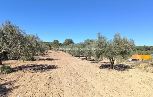 Wiederverkauf - Country Property/Finca - Yecla - Inland