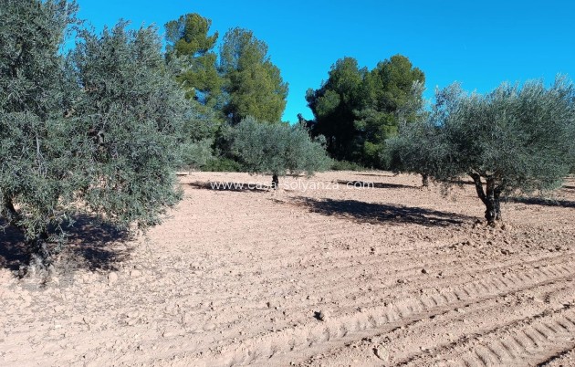 Wiederverkauf - Country Property/Finca - Yecla - Inland