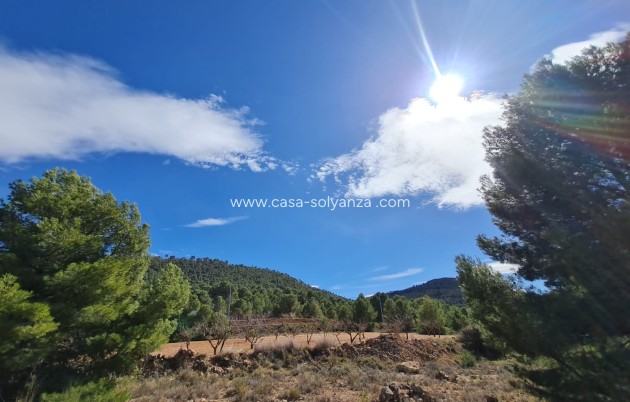 Resale - Land - Pinoso - Inland