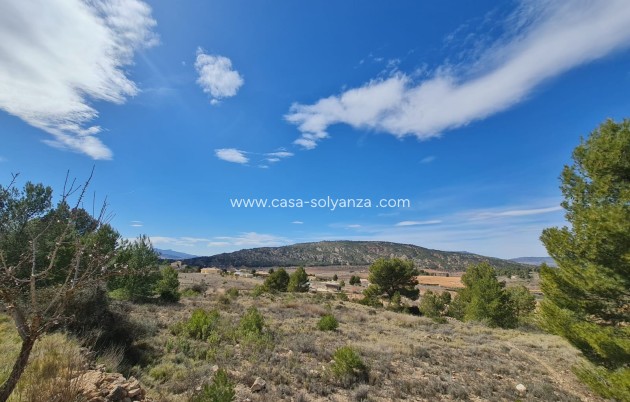 Resale - Land - Pinoso - Inland