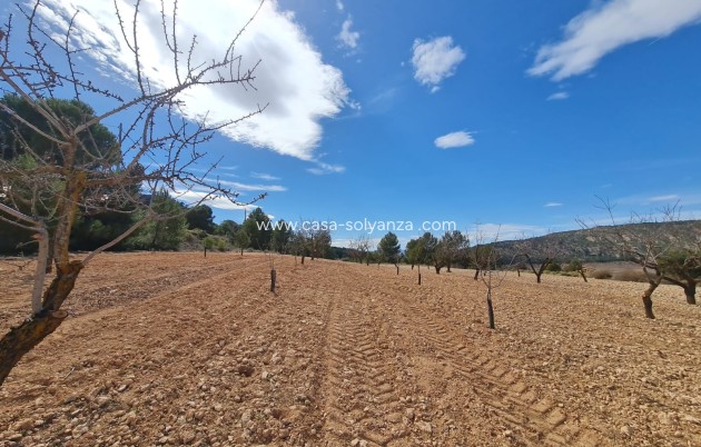 Resale - Land - Pinoso - Inland