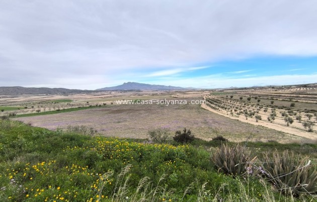 Herverkoop - Country Property/Finca - La Zarza - Inland