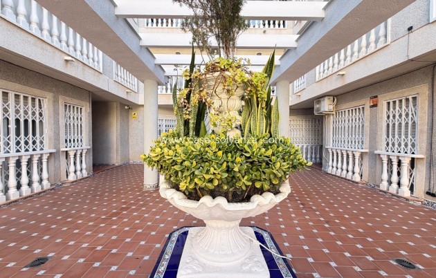Wiederverkauf - Wohnung - Torrevieja - Playa de los Locos