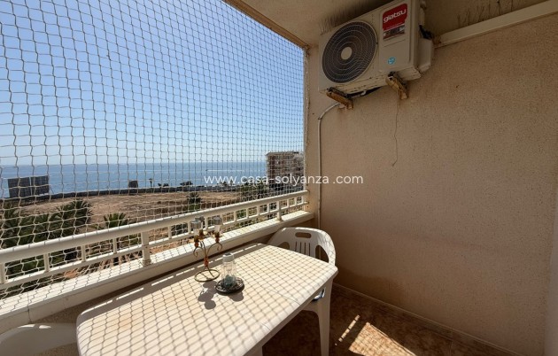 Herverkoop - Appartement / flat - Torrevieja - Playa de los Locos