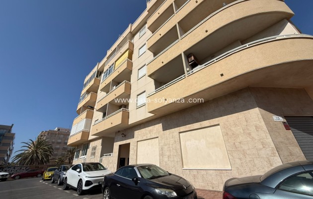Herverkoop - Appartement / flat - Torrevieja - Playa de los Locos
