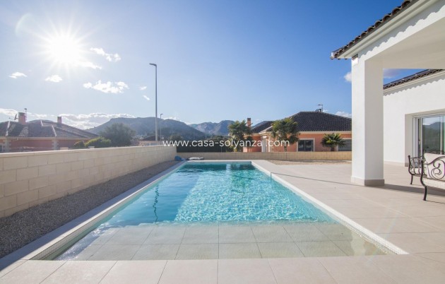 Nouvelle construction - Villa - Pinoso - Lel
