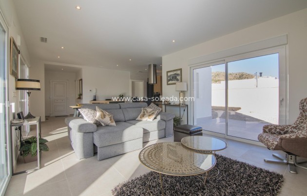 Nouvelle construction - Villa - Pinoso - Lel