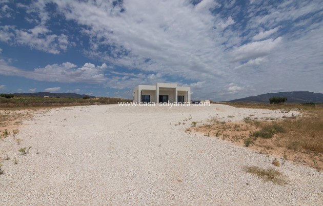 New Build - Villa - Pinoso - Lel