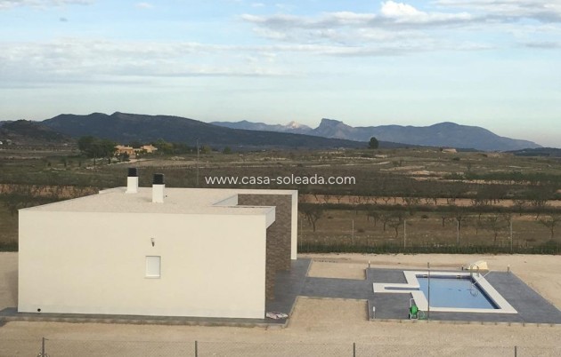 Nouvelle construction - Villa - Pinoso - Camino Del Prado