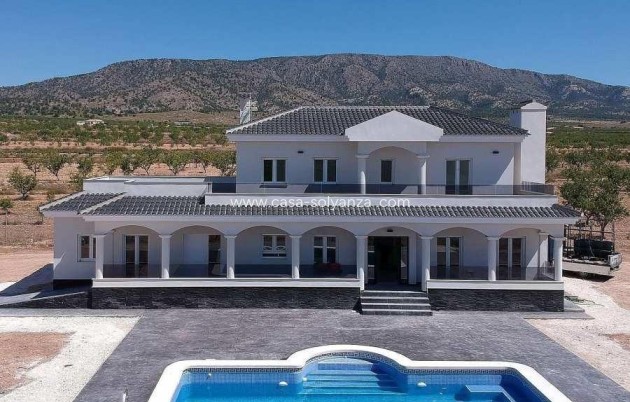 Nouvelle construction - Villa - Pinoso - Camino Del Prado