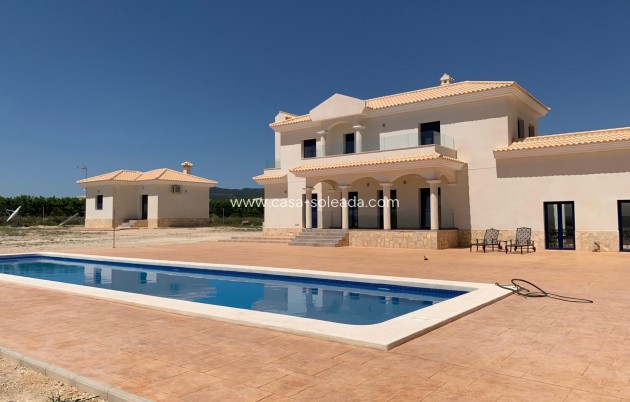 Nouvelle construction - Villa - Pinoso - Camino Del Prado