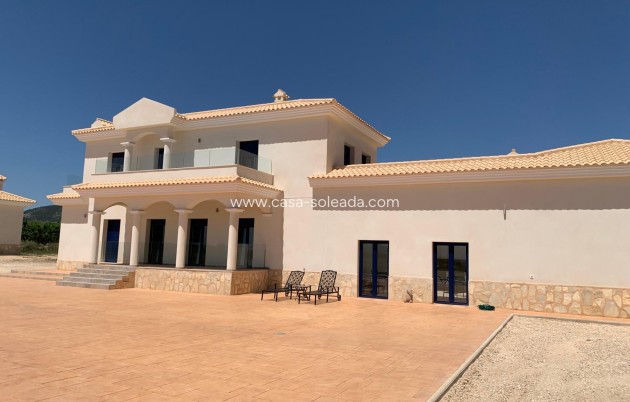 Nouvelle construction - Villa - Pinoso - Camino Del Prado