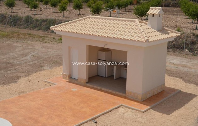 New Build - Villa - Pinoso - Camino Del Prado