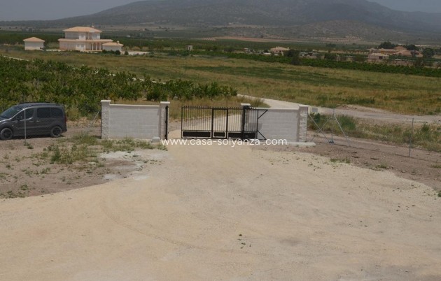 New Build - Villa - Pinoso - Camino Del Prado