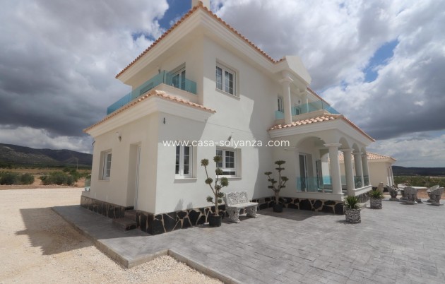 New Build - Villa - Pinoso - Camino Del Prado