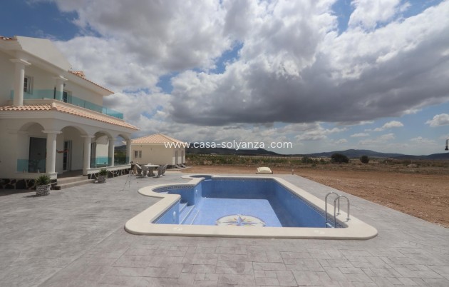 New Build - Villa - Pinoso - Camino Del Prado