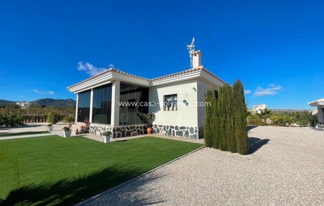 New Build - Villa - Pinoso - Camino Del Prado