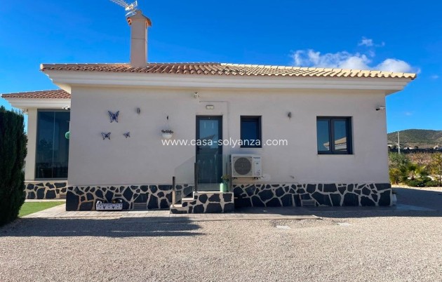 New Build - Villa - Pinoso - Camino Del Prado