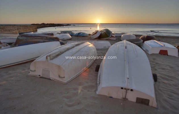 Nouvelle construction - Villa - Torrevieja - Sector 25