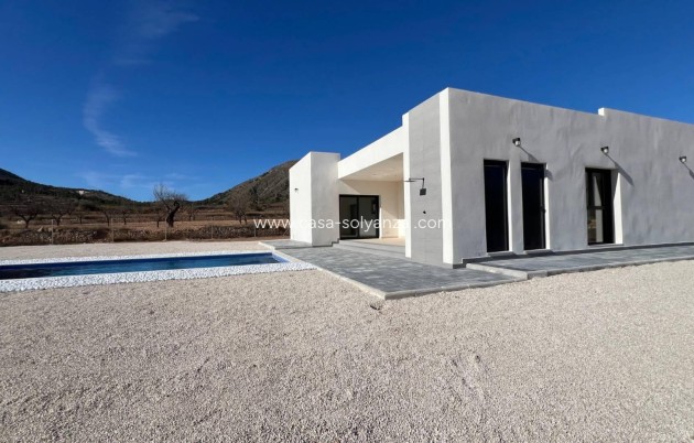 Nouvelle construction - Villa - Hondón de las Nieves - La Canalosa