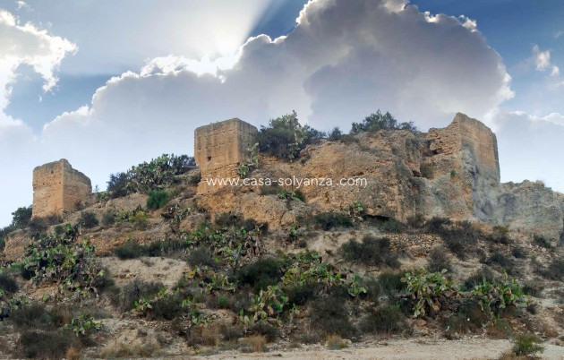 Nouvelle construction - Villa - Aspe - Centro