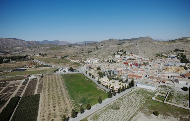 Nouvelle construction - Villa - Hondón de las Nieves - Centro
