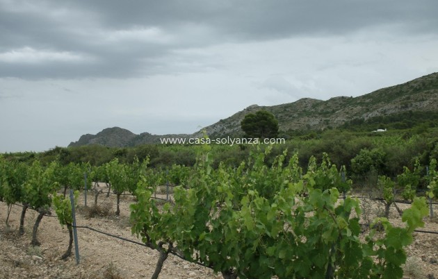 Neue Gebäude - Villa - Yecla