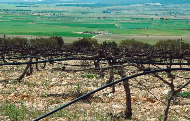 Neue Gebäude - Villa - Yecla