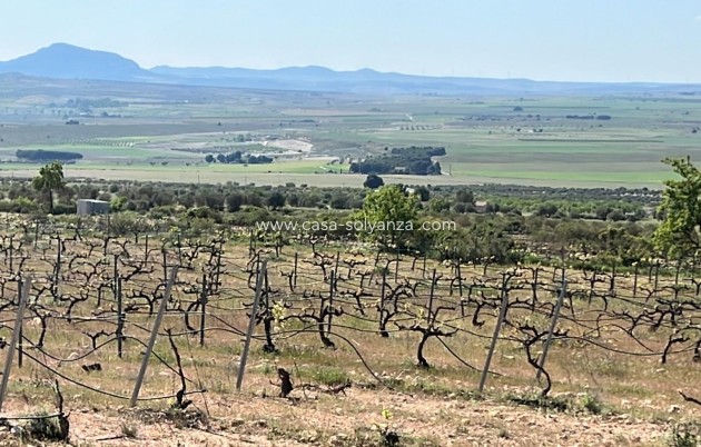 Neue Gebäude - Villa - Yecla