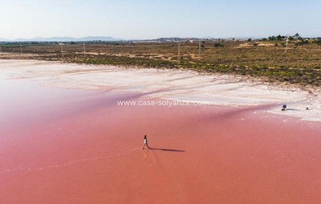 Obra nueva - Villa - Torrevieja - Aguas nuevas