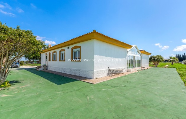 Reventa - Villa - Los Montesinos