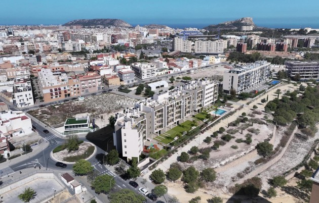 Neue Gebäude - Wohnung - Alicante - San Agustín-PAU 2