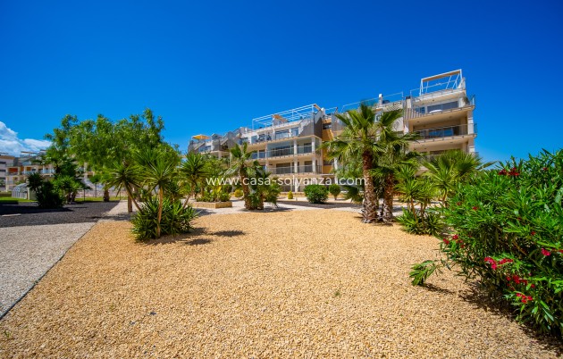 Revente - Appartement - Orihuela Costa - Villamartín