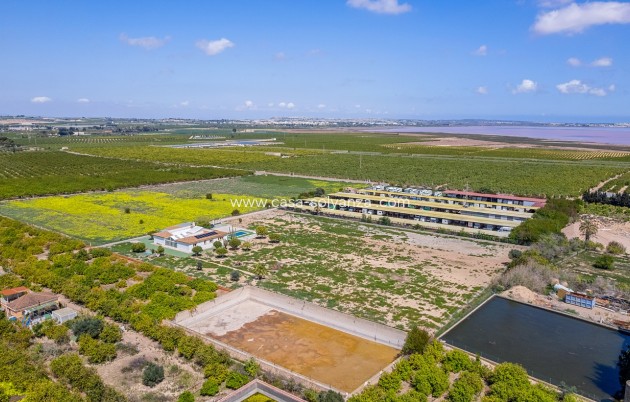 Reventa - Villa - Los Montesinos