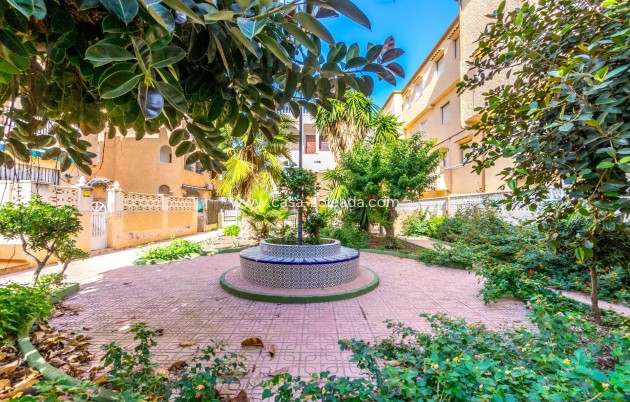 Revente - Appartement - Torrevieja - Los Europeos