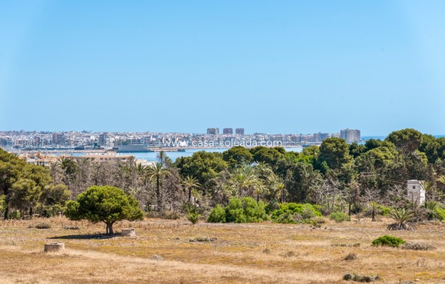 Revente - Appartement - Torrevieja - Costa Blanca