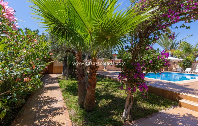 Revente - Villa - Orihuela - Inland