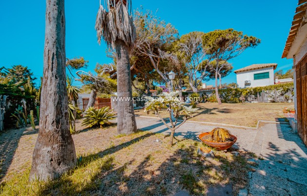 Resale - Villa - Orihuela Costa - Playa Flamenca