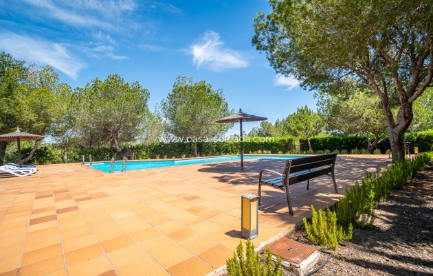 Revente - Villa - San Miguel de Salinas - Inland