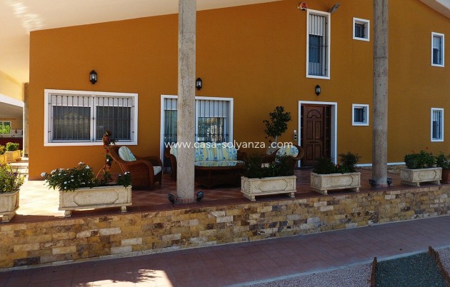Revente - Villa - Orihuela - Orihuela Ciudad