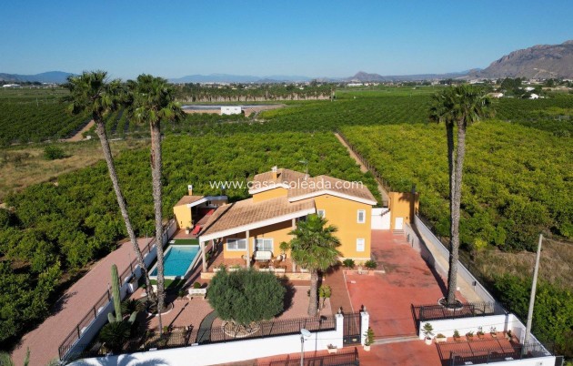 Revente - Villa - Orihuela - Orihuela Ciudad